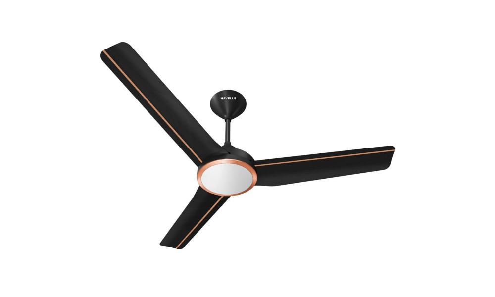 Havells maestro store designer ceiling fan